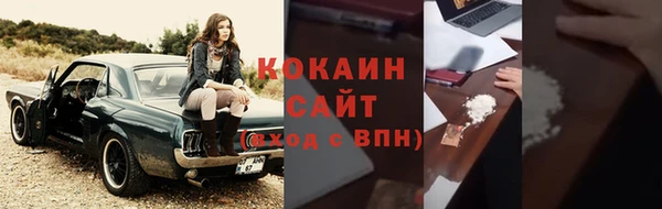 соль ск Богданович