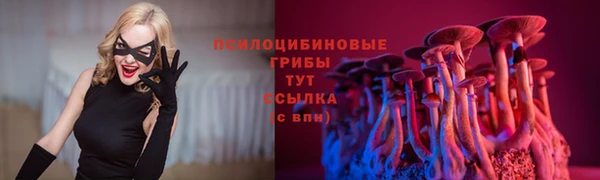 соль ск Богданович