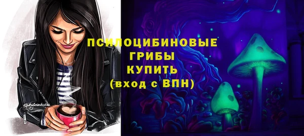 герыч Богородск