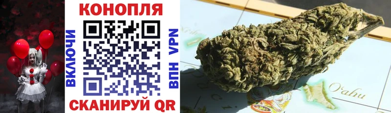 Бошки Шишки ГИДРОПОН  хочу   Хвалынск 